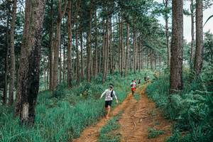 BIB: 
                            <button type="button" onclick="openModal(25741005)" class="btn btn-primary btn-sm float-right btn-popup" data-toggle="modal" data-target=".modal-high-quality">
                        <i class="fas fa-shopping-cart"></i> Add to Cart
                    </button>
                                            <button type="button" onclick="isThisMe(25741005, true)" class="btn btn-success btn-sm float-right btn-popup btn-isme hidden" data-toggle="tooltip" data-placement="bottom" title="นี่คือรูปของคุณใช่ไหม คลิกที่นี่เพื่อเอาเข้าอัลบั้ม">
                        <i class="fas fa-plus"></i> Add to album
                    </button>
                    <button type="button" onclick="isThisMe(25741005, false)" class="btn btn-warning btn-sm float-right btn-popup btn-isnotme hidden">
                        <i class="fas fa-ban"></i> Remove from album
                    </button>